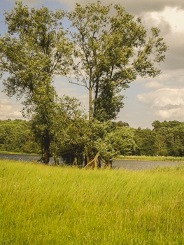 201706 Kursfahrt Biologie 3