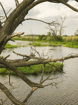 201706 Kursfahrt Biologie 4