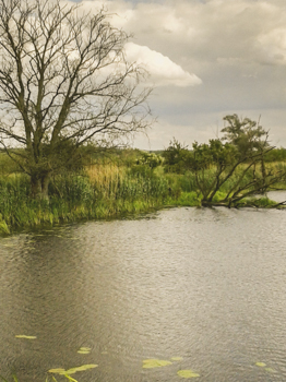 201706 Kursfahrt Biologie 5