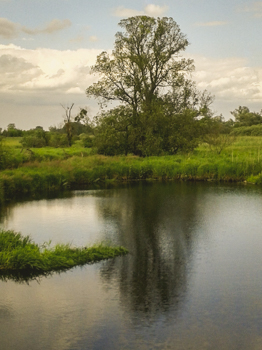 201706 Kursfahrt Biologie 9