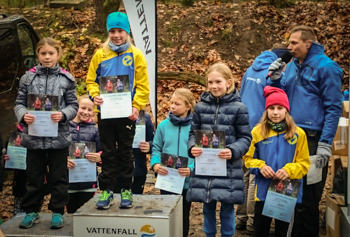 20171117 Waldlauf Vattenfall 1