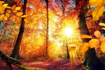 20201007 Herbst
