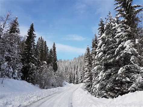 20210126 Winterbild